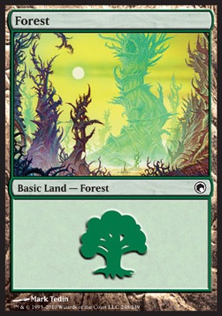 Forest (V.3)