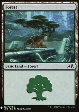 Forest