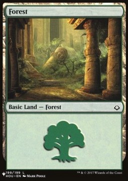 Forest (V.2)