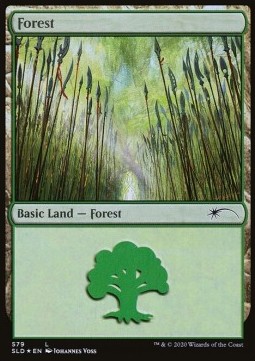 Forest (V.12)