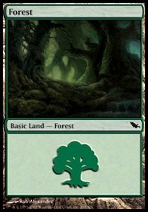 Forest (V.2)