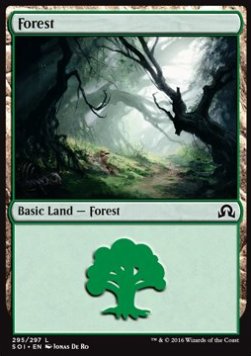 Forest (V.1)