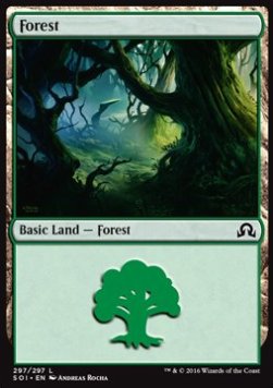 Forest (V.3)