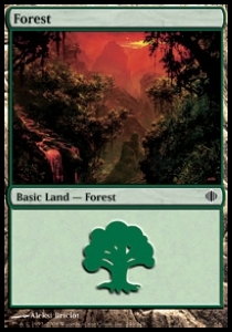 Forest (V.1)