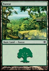 Forest (V.2)