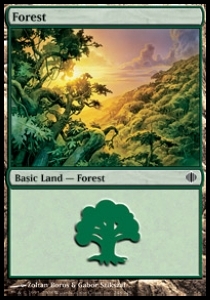 Forest (V.3)