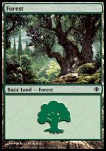 Forest (V.4)