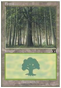 Forest (V.3)