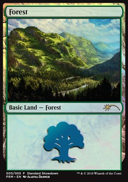 Forest (V.2)