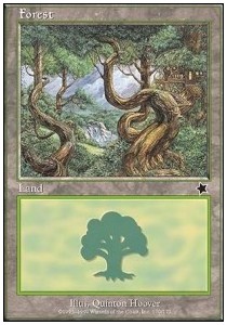 Forest (V.1)