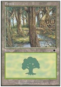 Forest (V.2)