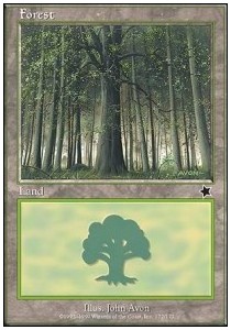 Forest (V.3)