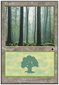Forest (V.4)