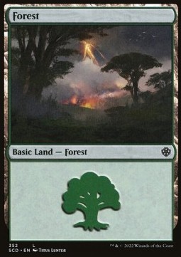 Forest (V.4)