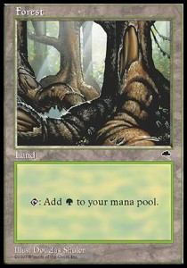 Forest (V.2)