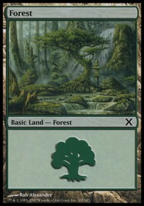 Forest (V.3)