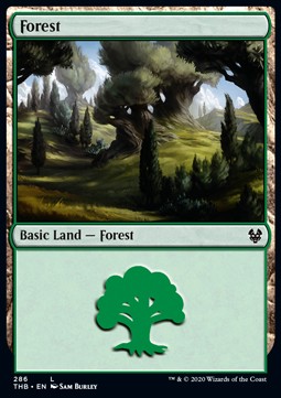 Forest (V.1)