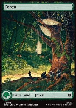 Forest (V.2)