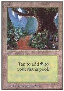 Forest (V.2)