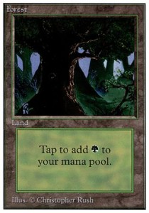 Forest (V.3)
