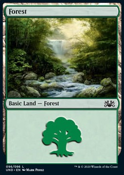 Forest (V.1)