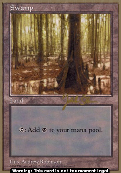 Swamp (V.2)