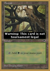 Forest (V.1)