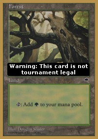 Forest (V.3)