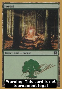 Forest (V.1)
