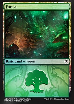Forest (V.1)