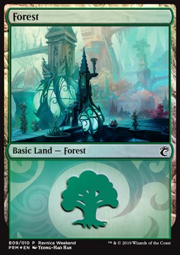 Forest (V.4)