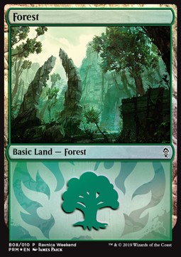 Forest (V.3)