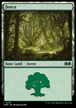 Forest (V.2)