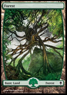 Forest (V.8)