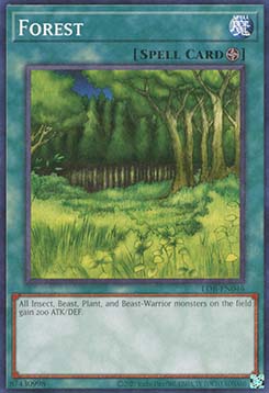 Forest